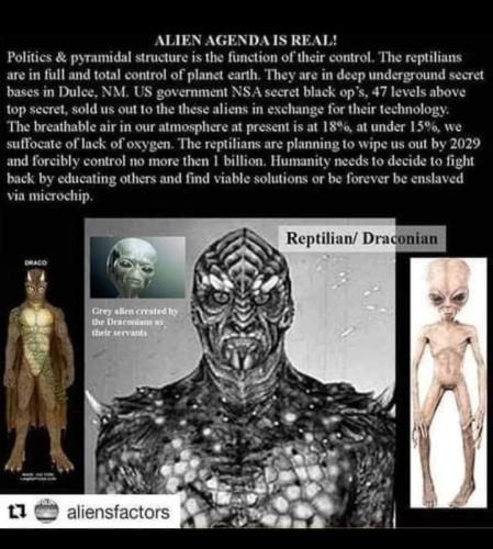 FB_IMG_1650864862618