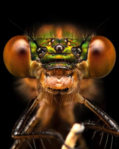 292815449_535950508190588_5494842899301666909_n