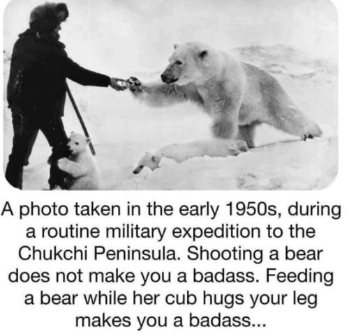 f60d48bca14fa46ef9117aad5efb8f1e_500x0