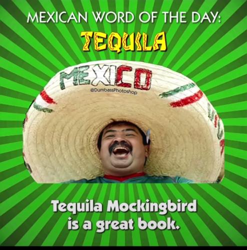 Screenshot_20220703-114345_Instagram