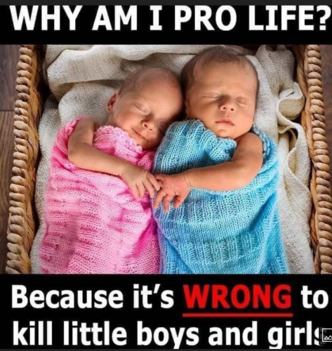 Screenshot_20220512-171105