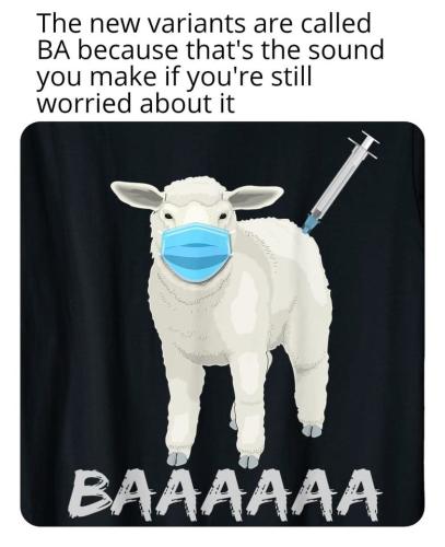 296721848_902618863991784_5402723597903894035_n