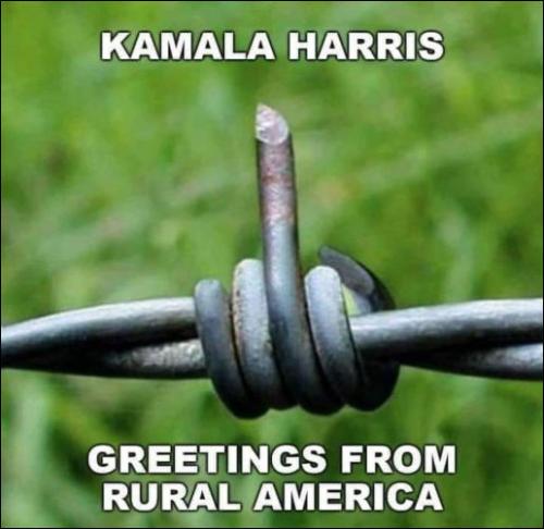 kamala harris199