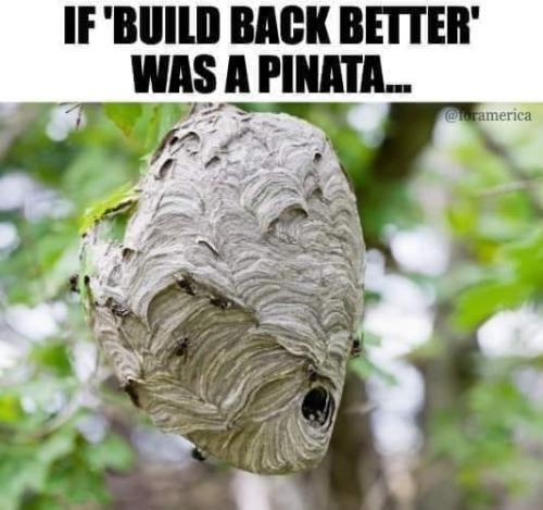 build_back_better_pinata