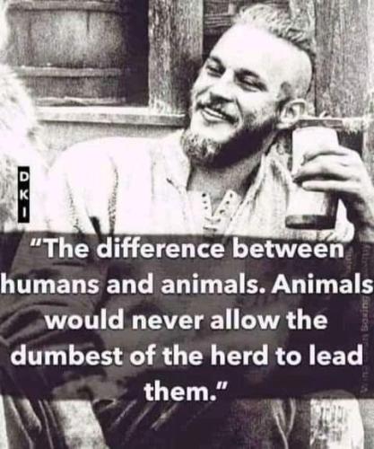 FB_IMG_1658252634496