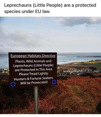 294959151_10228713168076179_8471920790218620418_n