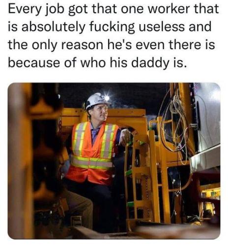 useless son