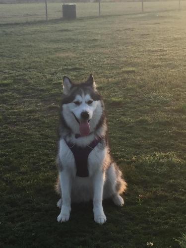 794E581F-D965-46FC-BEF6-E118C1108EC8