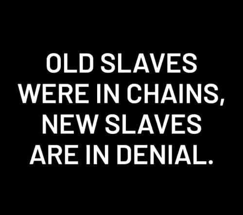 2f4d672c525e19269455e5198f62a8d1_1024