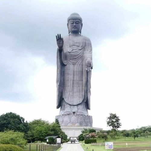 291579869_378340630954178_4624231076061667533_n