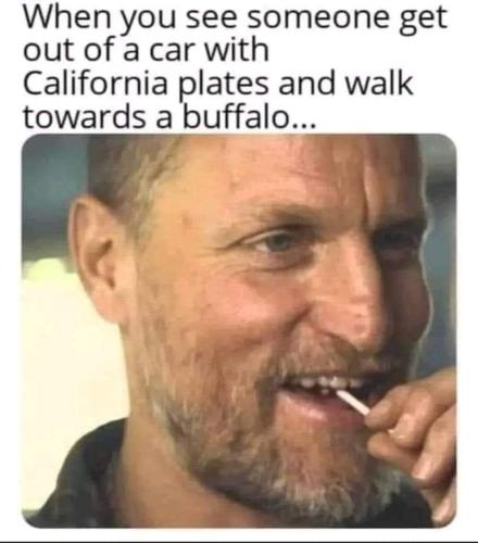 FB_IMG_1656977035952