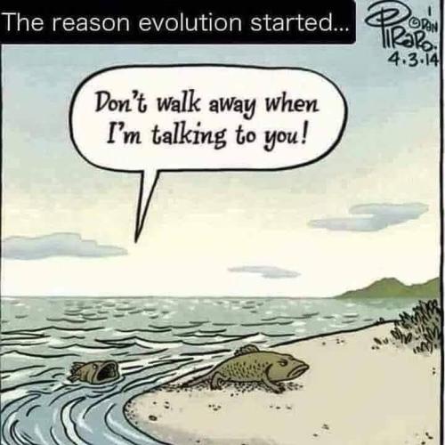 293816244_10166766290600654_1514975807884082097_n