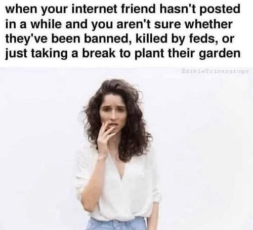 photo_2022-07-10_17-08-10