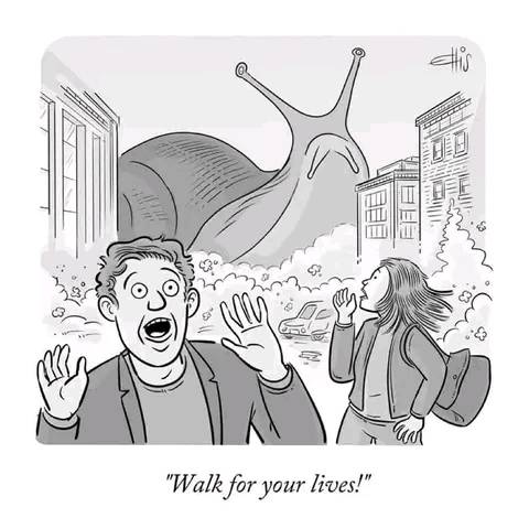 294776320_352832707036762_7874336984820317810_n