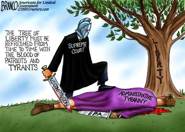 afb070122dAPC20220701024505-375x275