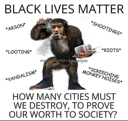 FB_IMG_1658352949969