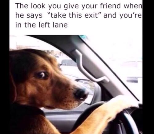 Screenshot_20220713-073447_YouTube