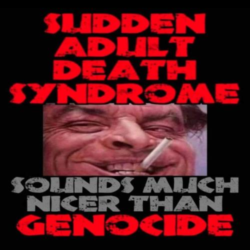 tumblr_bc30378e2d6c81c4a37bd8f72e4320a7_5edfbe21_540