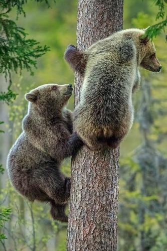 tumblr_pa1f5txuNS1uslbbko1_500