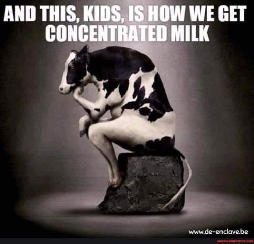 294060396_10220832897233818_2325766798067486861_n