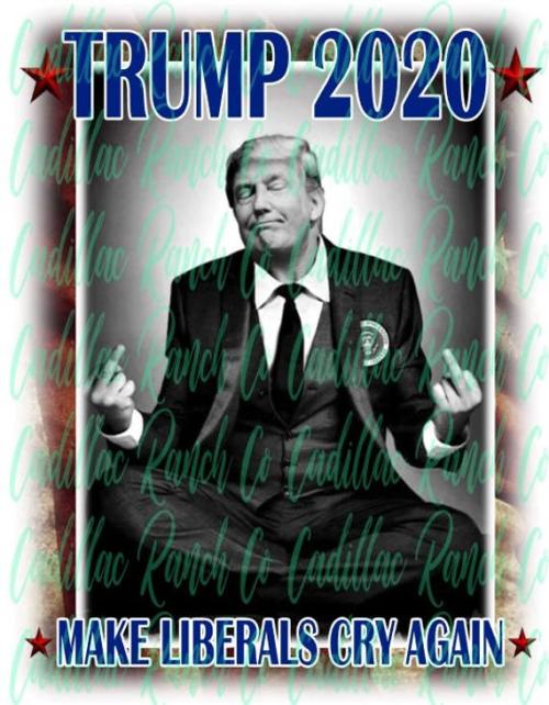 il_570xN.2010101999_9pbm