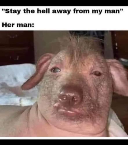 FB_IMG_1657727710450