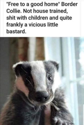 FB_IMG_1658075042219