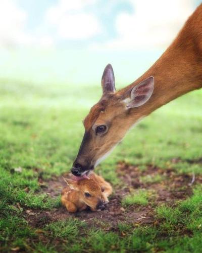 tumblr_f06358b6674426fdc574bbbc79a45069_631b9745_540