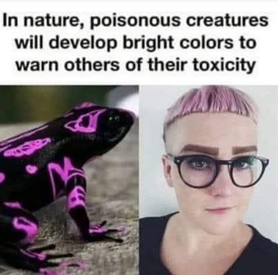 toxic_lefties