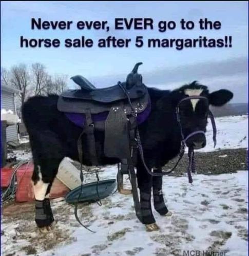 IMG_20220702_204906_308