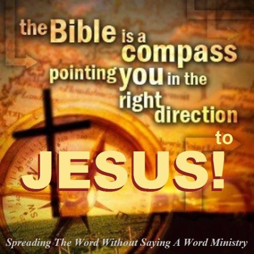 12509015_980924961989635_3005034094415388631_n