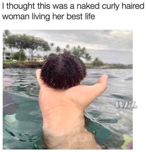 FB_IMG_1656978792795