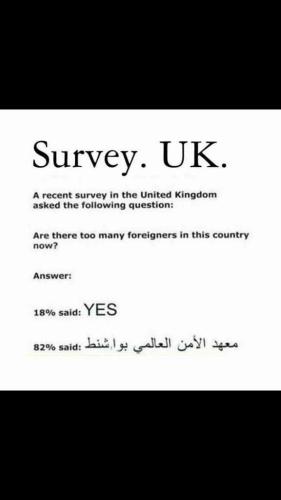 Survey 1