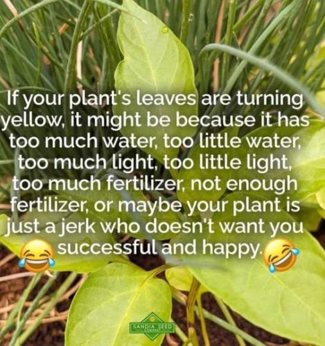 295918564_415257663968630_656547329129525445_n