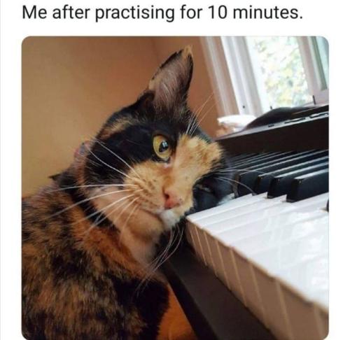 296128225_430916125724992_2072062158741246121_n