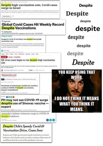 FB_IMG_1658405297707