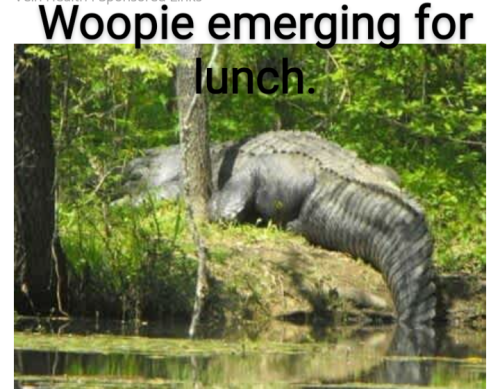 Screenshot_20220728-135520~2