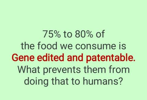 Screenshot_2022-07-29-11-04-24-570_com.google.android.apps.photos~2