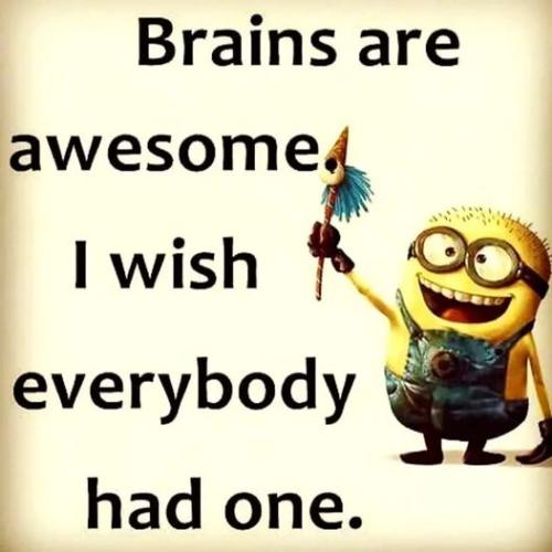 294541415_538632131385894_4383106415478427581_n