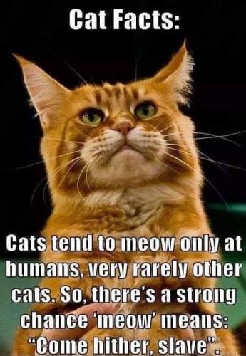 66141372_2402877416402127_6575635715185442816_n