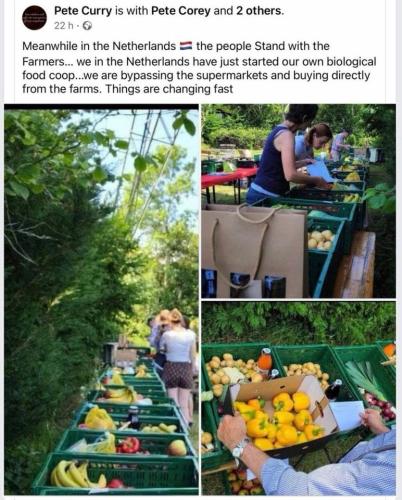 293530766_567713798223441_96630068150162853_n