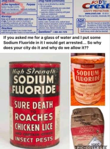 Screenshot_20220703-133620_MeWe