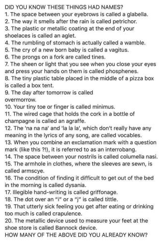 293652430_3158218421066707_5167494744281248024_n