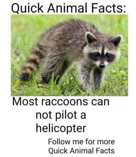 FB_IMG_1657473165175