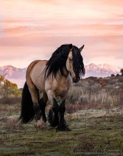 291225453_791993855507786_3742709260994888769_n