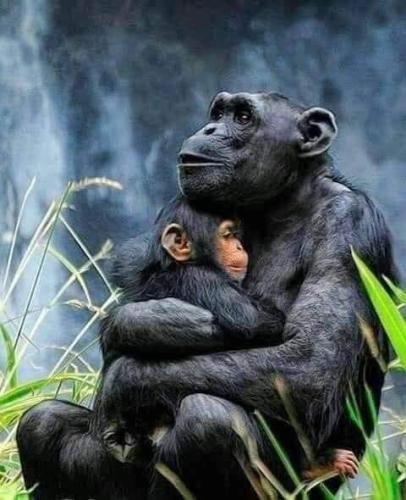 tumblr_b1845debffa4ca86b24c1ae9667d6957_ce378543_500