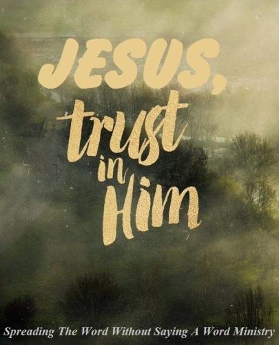 12548857_986995681382563_5661064940452344882_n