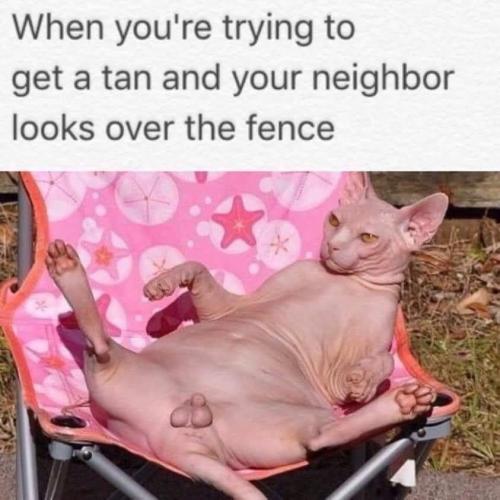 FB_IMG_1657566017941