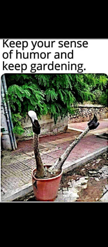 1658361055892