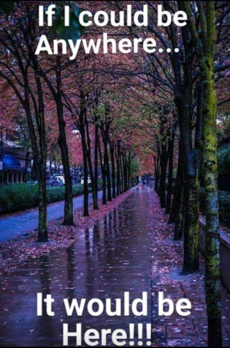 Screenshot_20220713-222457~2